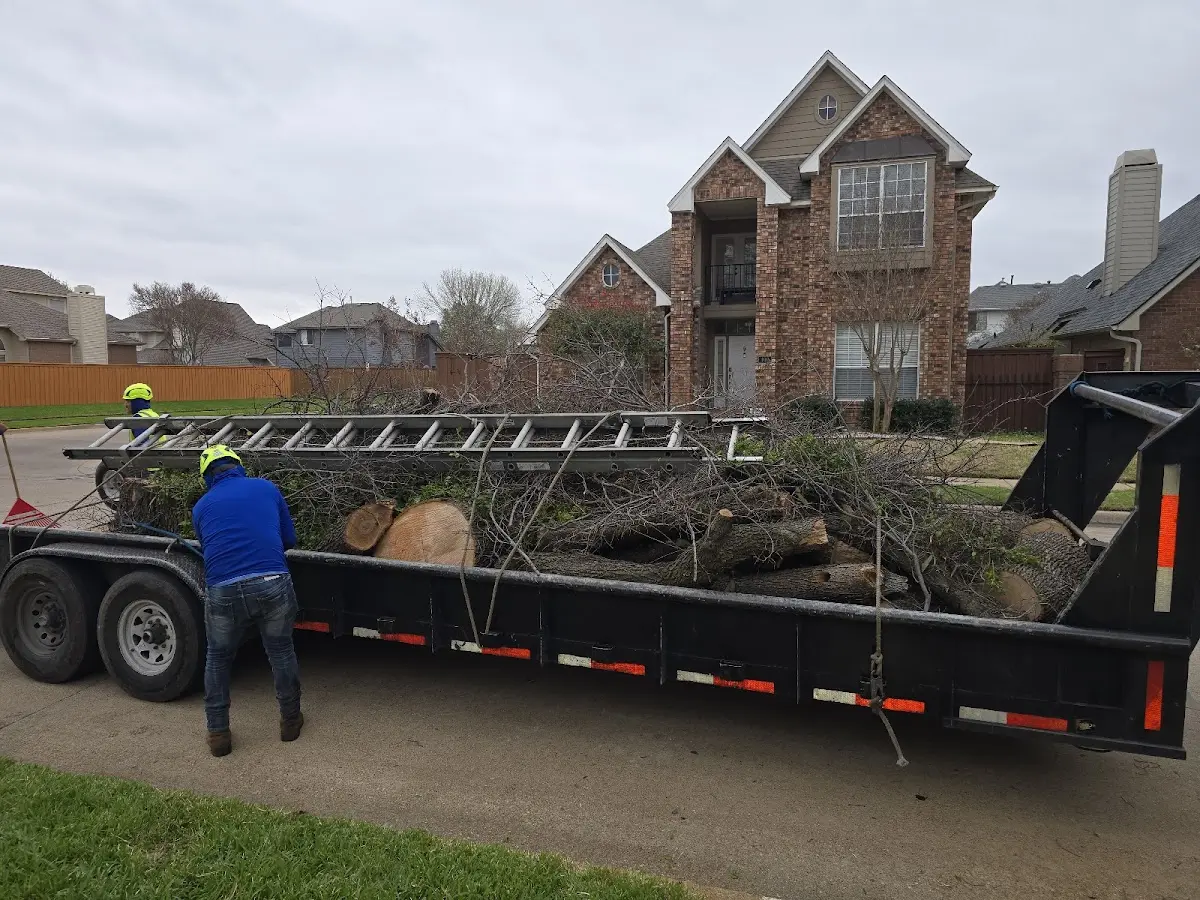 Expert Lot Clearing with proper safety equipment in Cameron